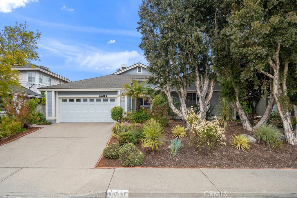 4404 Sunflower Way