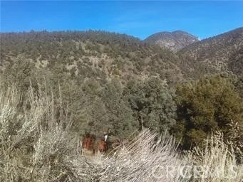 This the existing zillow description 14208 yellostone dr. pine mountain club 93225
Great panoramic views! This large pie shaped wide frontage oversized lot sits high on the hill on Yellowstone Drive with easy access from the street. Come place your mountain dream home to take advantage of the views or set in for privacy. Located within the Pine Mountain Club Property Owners Association community and with your annual HOA dues ($1945 approximately), the members will be able to use the amenities such as clubhouse, golf course, equestrian center, trash, security, snow removal, street maintenance, pool, tennis courts, etc. Please see the HOA member packet in the supplements for details & additional information, or visit https://www.pinemountainclub.net/ to learn about the community. Come see this beautiful lot before its late. Priced to sell!
Comes with the drawings for a new 600SQT abin to present to the HOA.