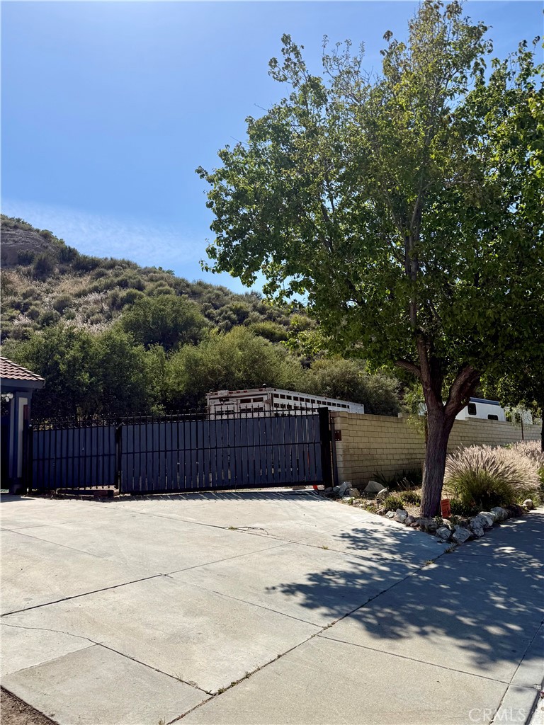29445 Poppy Meadow