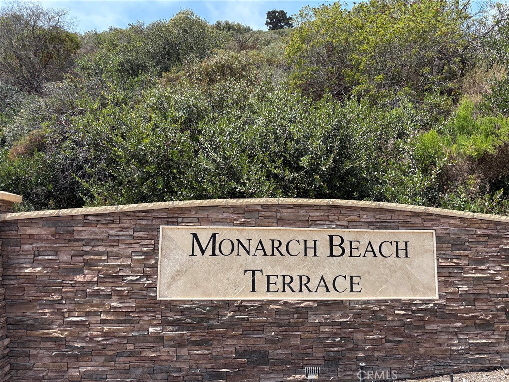 LOCATION, LOCATION! This perfectly positioned Pacific Island Villas home is READY TO MAKE YOUR OWN! In sought after Monarch Beach/Dana Point, this lovely townhome is close to all the wonderful lifestyle that Dana Point is famous for - beaches, restaurants, boutique stores, marina and more, only a short distance away. A direct access two car garage leads straight into your gently updated kitchen, so bringing in the groceries is a breeze! Make the family a wonderful meal, and enjoy it in your open dining area, or take the moment outside and dine alfresco on your private patio. When the nights start to cool, a cozy fireplace awaits in your generous family room. A powder room takes care of friends & guests too! At the end of the day, your large principal bedroom features its own fireplace and a private balcony. Or get ready in your principal bath area with shower and two closets! An updated vanity area adds the final touch. A second bedroom & hall bath mean everyone has their own space, and a dedicated loft complete with wet bar is the perfect second living space or office. This is the one to call HOME!