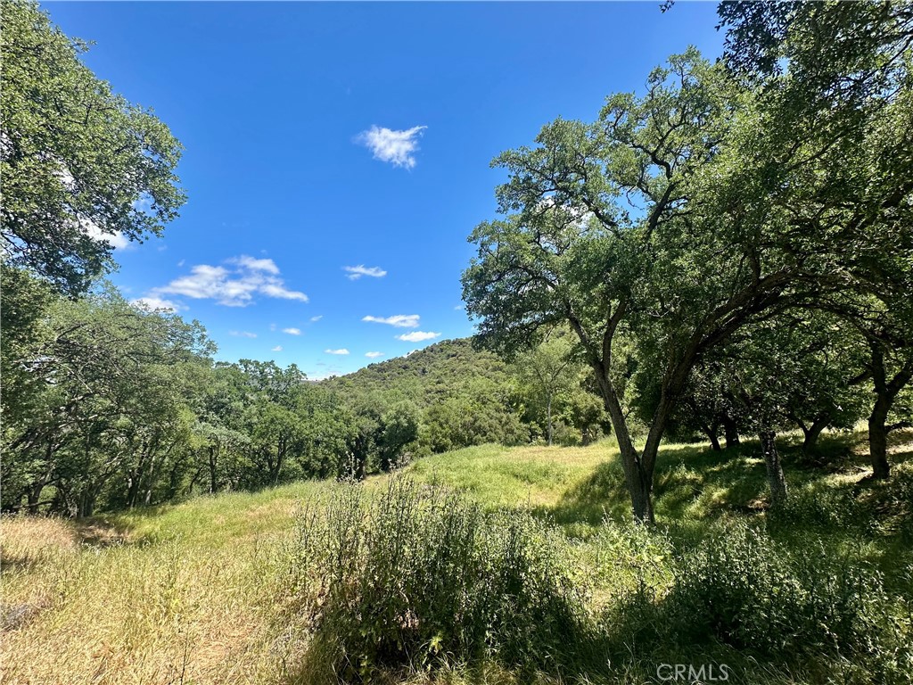 Beautiful 53 +/- acres of rolling mountains and oaks. The owner has built sweat equity into this property and it can be yours!! Property is mostly fenced and boast a off grid approach to green living. There are a couple of large graded areas and the property even has a Yurt to enjoy.There is approximately 10 thousand gallons of water storage on the property.