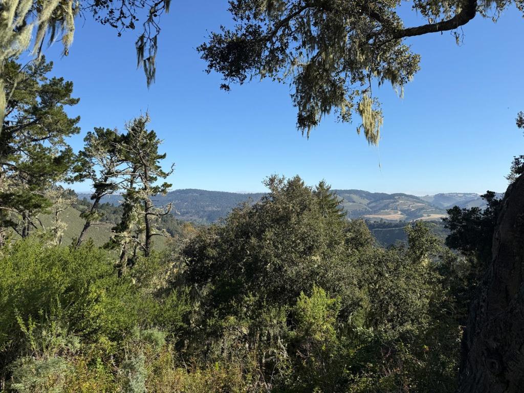 6 Rancho San Carlos (Lot E10) Road