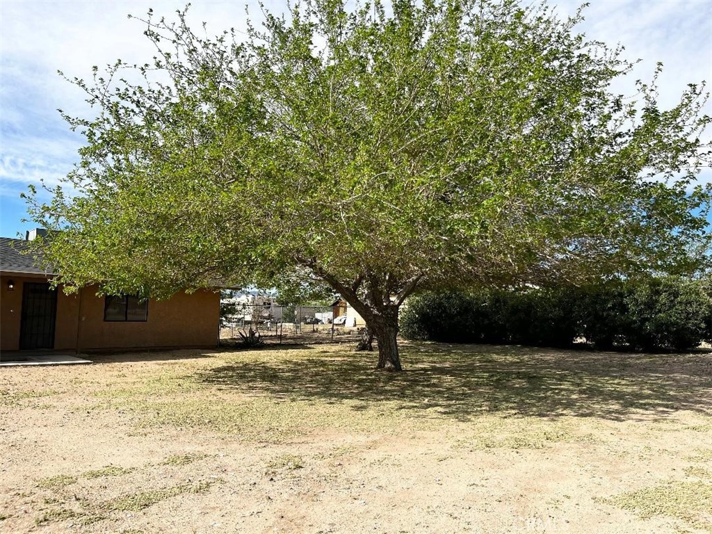 19145 Sheffield Street