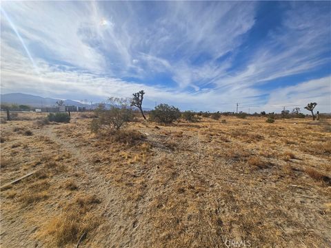 Photo of 0 263rd Road E, Pinon Hills, CA 92372 (MLS # SR25244252)