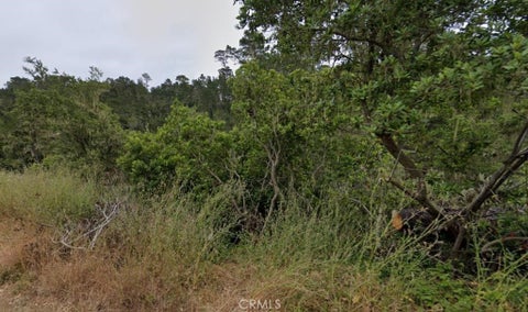 Tiny photo for 2812 Ramsey Road, Cambria, CA 93428 (MLS # PW26195486)