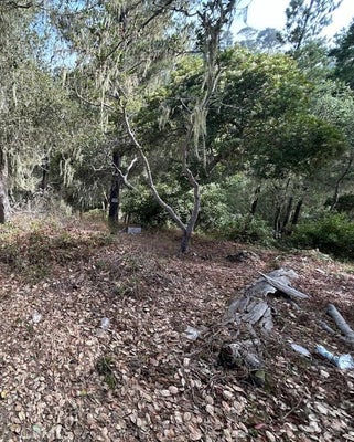 2812 RAMSEY ST, CAMBRIA, CA 93428 - Image 3129c4f2657dbc1925b664d301a19e9c/3438269376