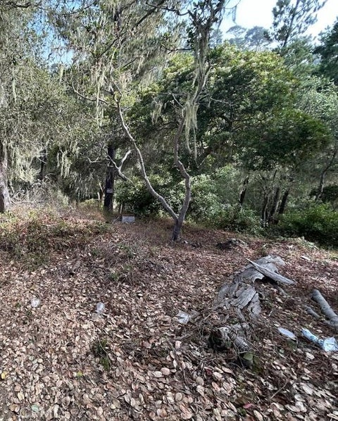 Photo of 2812 Ramsey Road, Cambria, CA 93428 (MLS # PW26195486)