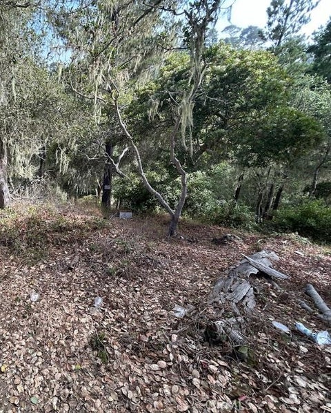 Photo of 2812 Ramsey Road, Cambria, CA 93428 (MLS # PW26195486)