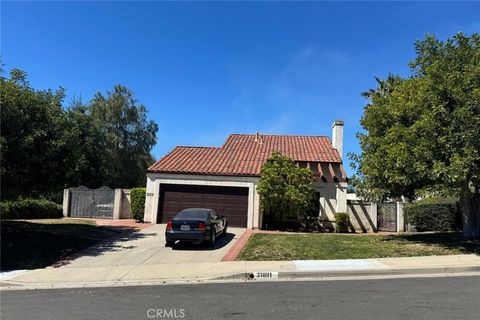 Photo of 31891 Via Montura, San Juan Capistrano, CA 92675 (MLS # PW26059864)