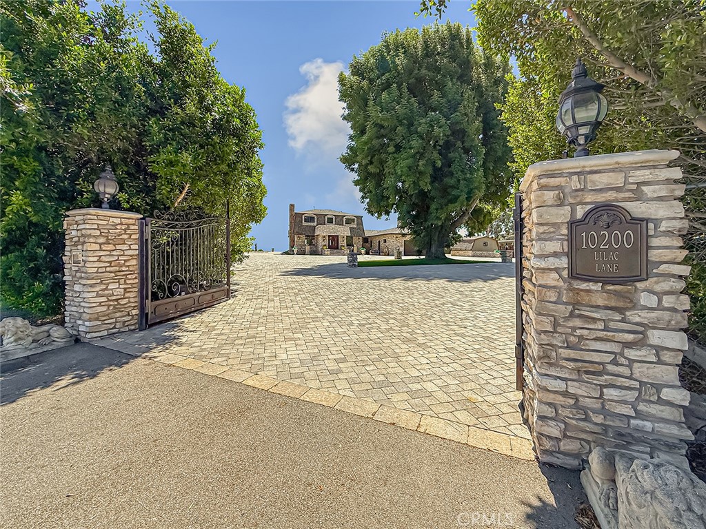 10200 Lilac