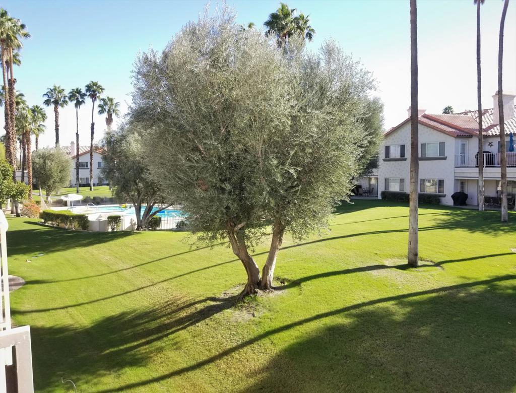 Desert Falls C.C. - Residential Lease