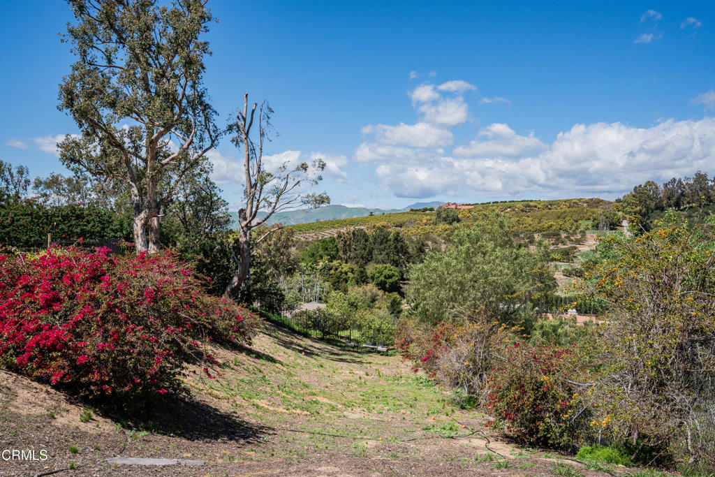 Terra Bella Estates - 2910 - Residential