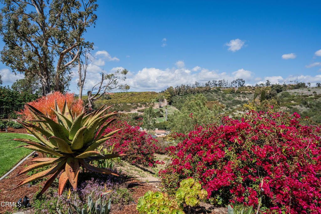 Terra Bella Estates - 2910 - Residential