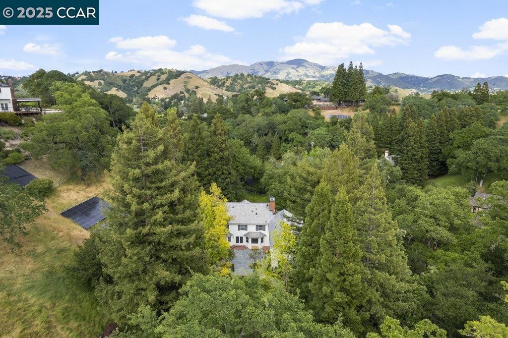 ALAMO HILLS - Residential