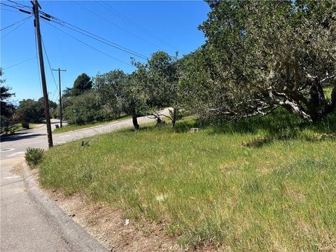 Tiny photo for 1606 Saint James, Cambria, CA 93428 (MLS # SC26045964)