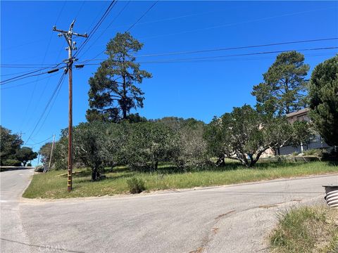 Tiny photo for 1606 Saint James, Cambria, CA 93428 (MLS # SC26045964)