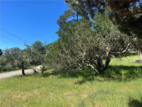 Tiny photo for 1606 Saint James, Cambria, CA 93428 (MLS # SC26045964)