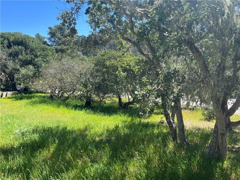 Tiny photo for 1606 Saint James, Cambria, CA 93428 (MLS # SC26045964)