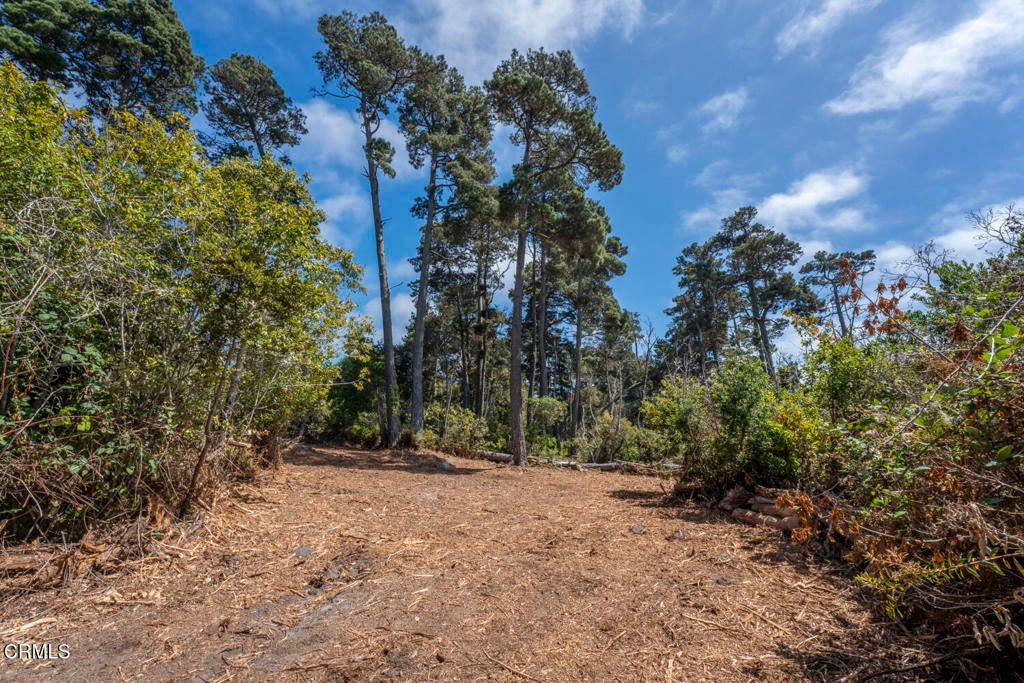 17898 Georges Lane