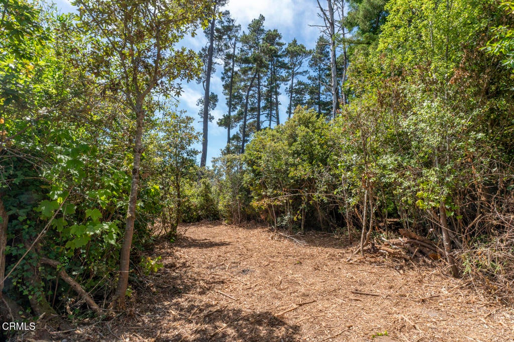 17898 Georges Lane