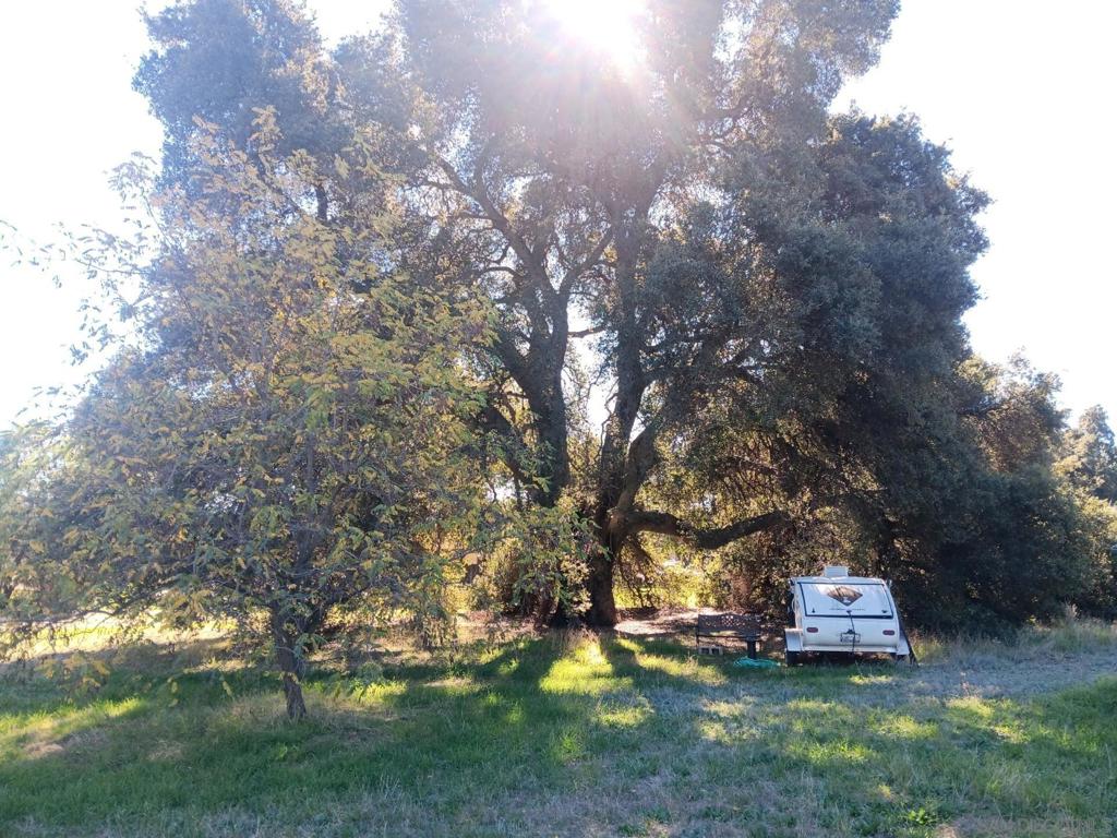 2125 Buckman Springs Road