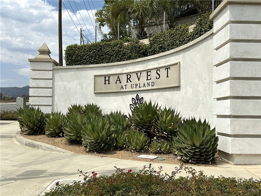 NEWER GATED COMMUNITY HOME NEAR CLAREMONT VILLAGE AND COLLEGES. Beautiful 3 bedroom, 3 bathroom home located in "Arbor Square At Harvest". Gated mountain view community. One bedroom and one full bathroom located downstairs on the ground floor. Open light filled floor plan, great room, nook/dining area, large loft/den upstairs, high ceilings throughout. Kitchen with upgraded features including; stainless steel refrigerator, stainless steel farmhouse sink, quartz countertops, shaker style cabinets and island. Primary Master bedroom features a walk-in closet and large bathroom with dual vanities. Indoor laundry nook includes both washer and dryer. Easy care private fenced patio yard. Two car garage with direct house access. Energy efficient features include solar panels, tankless water heater, dual pane windows and door. Resort style amenities including community pool, spa, fitness center, BBQ, children's playground and garden. Convenient location close to Claremont Colleges, College Park favorite stores, and Montclair Place plaza. Easy access to both the 210 and 10 freeways. Per Owners: NO Pets, No Smoking/Vaping on premises. Property owner will pay for monthly HOA fee and solar lease fee.