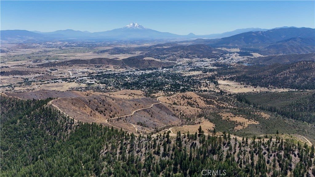 626 Acres Yreka /Humbug Road