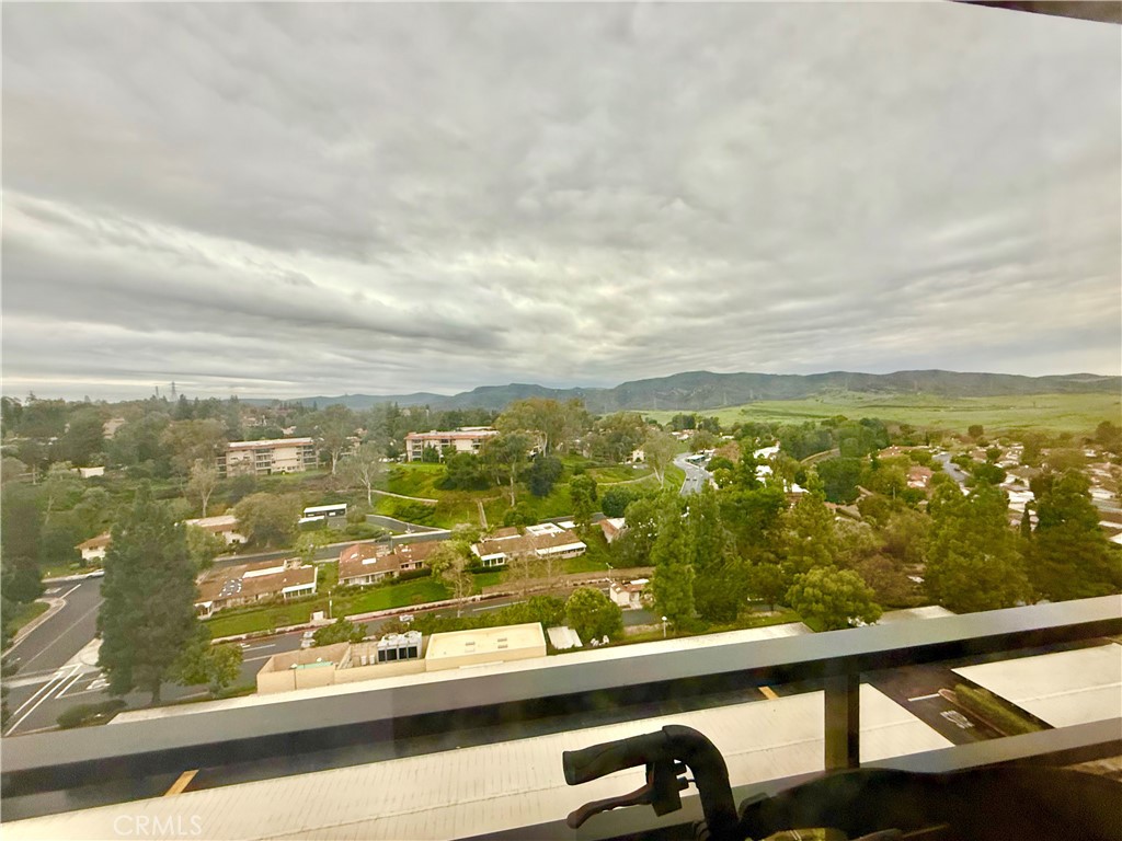 24055 Paseo Del Lago 1253