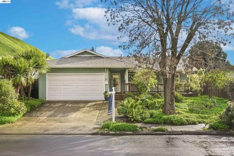 Photo of 682 Patoma Ct, Fremont, CA 94536 (MLS # 41126975)