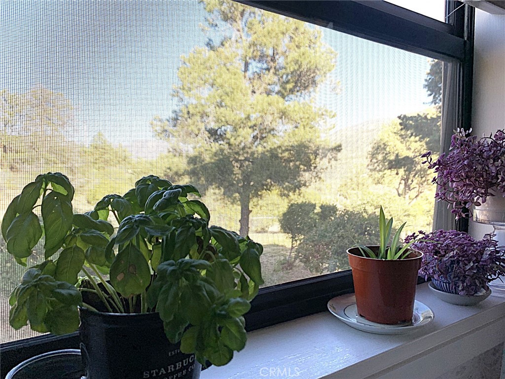 Pinyon Pines - Residential