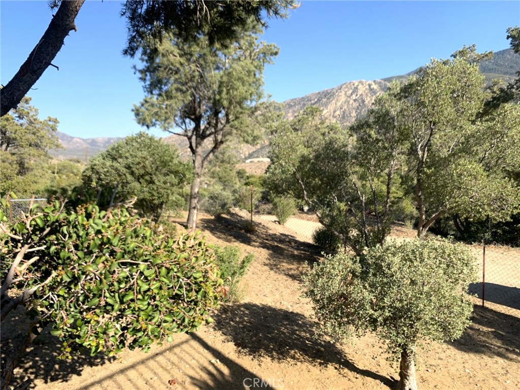 Pinyon Pines - Residential