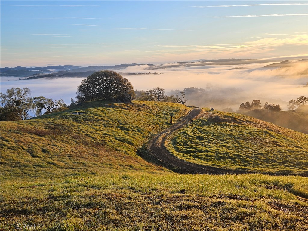 Paso Robles, California, 93446, United States, 2 Bedrooms Bedrooms, ,2 BathroomsBathrooms,Residential,Active,2023451