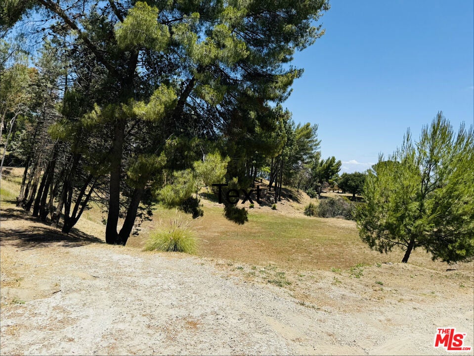 22030 Saddlepeak