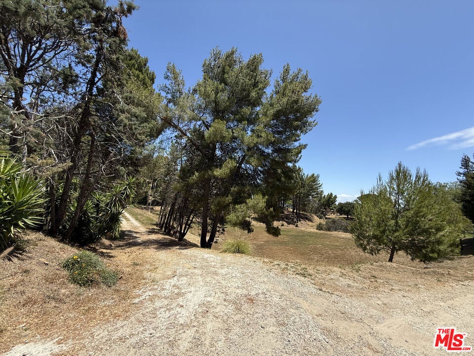 22030 Saddlepeak