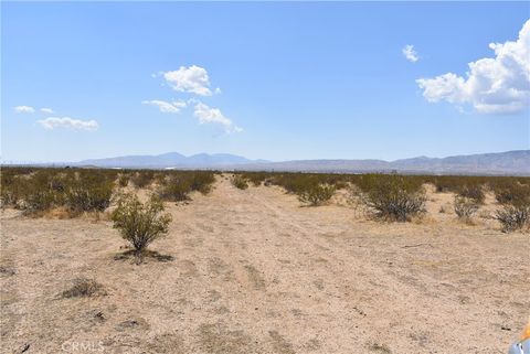 Photo of 1490 E Wilson Avenue, Mojave, CA 93501 (MLS # SR25129299) Photo of 1490 E Wilson Avenue, Mojave, CA 93501 (MLS # SR25129299)