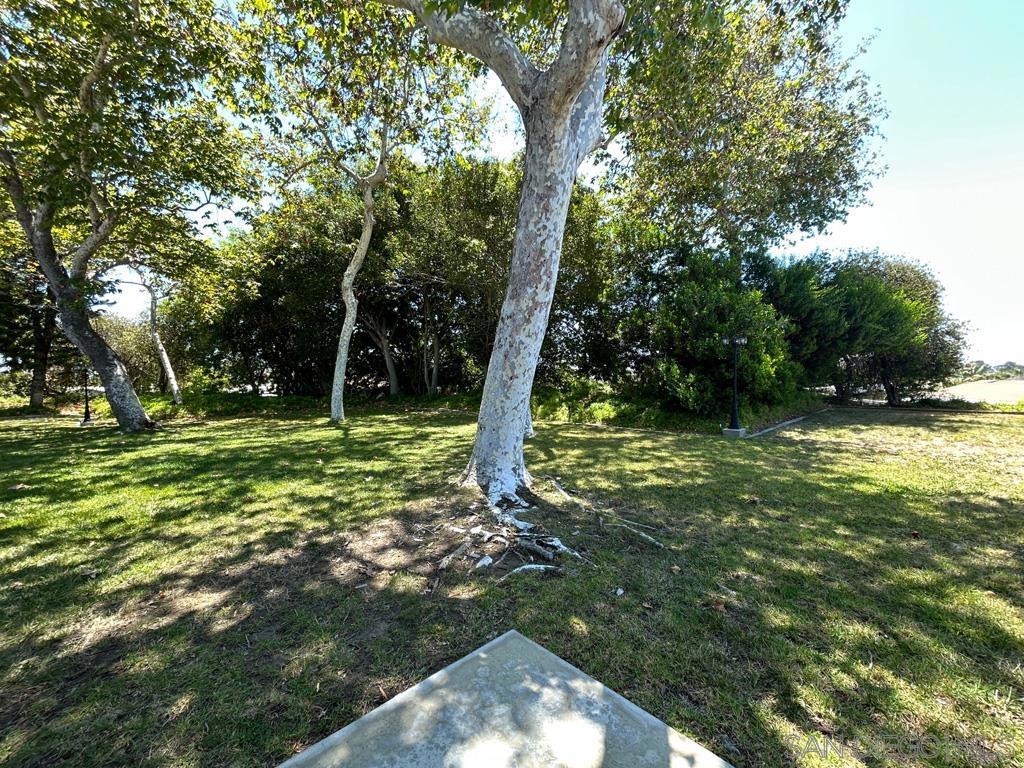 East San Diego - Manufactured In Park