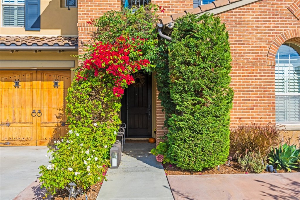 26572 Paseo Callado