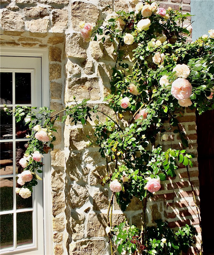 Naples (NA) - Residential Lease