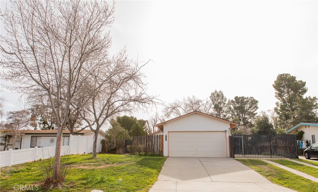 38990 Juniper Tree