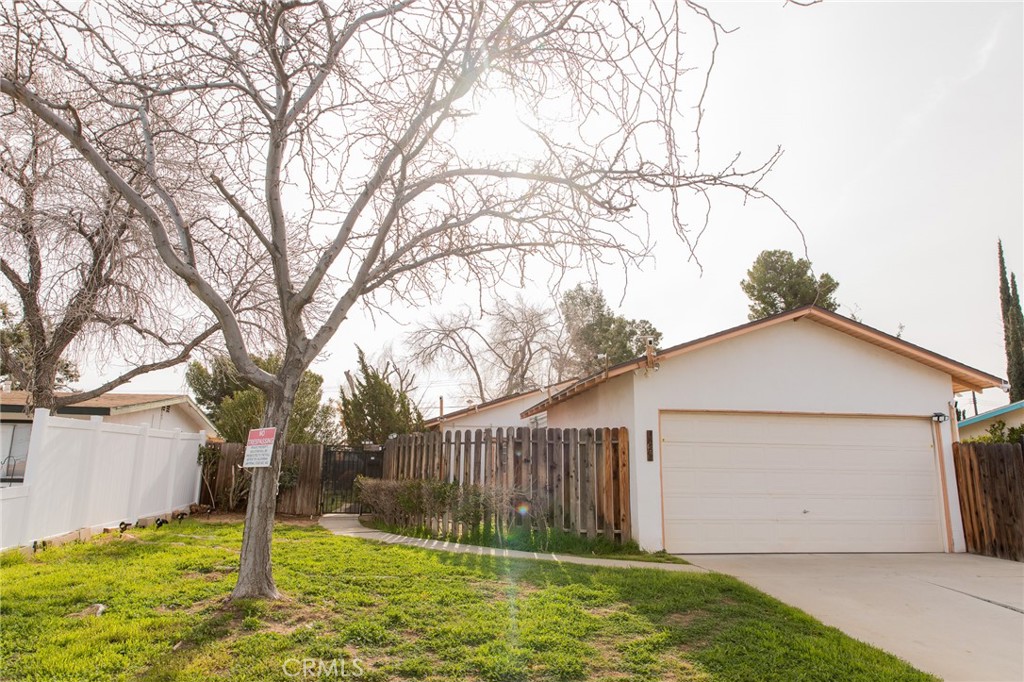 38990 Juniper Tree