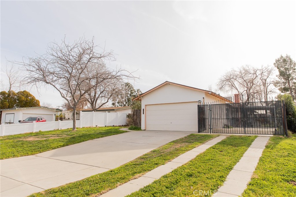 38990 Juniper Tree
