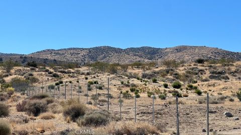 Photo of 7300 E Mt Emma Road, Palmdale, CA 93550 (MLS # SR25216972)