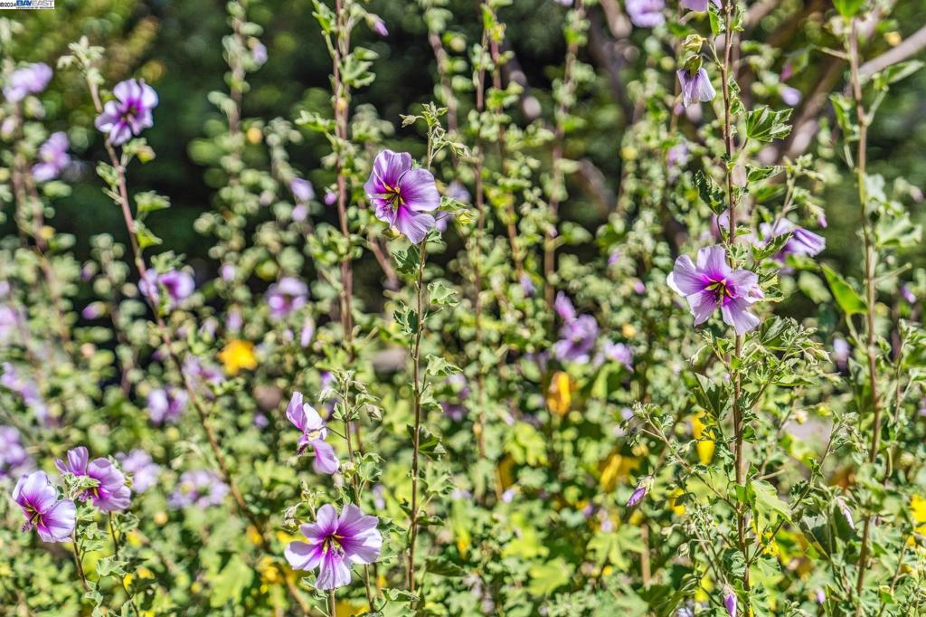 WALDEN PARK - Residential