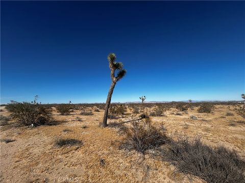 Photo of 0 Celesta, Joshua Tree, CA 92252 (MLS # JT26082077)