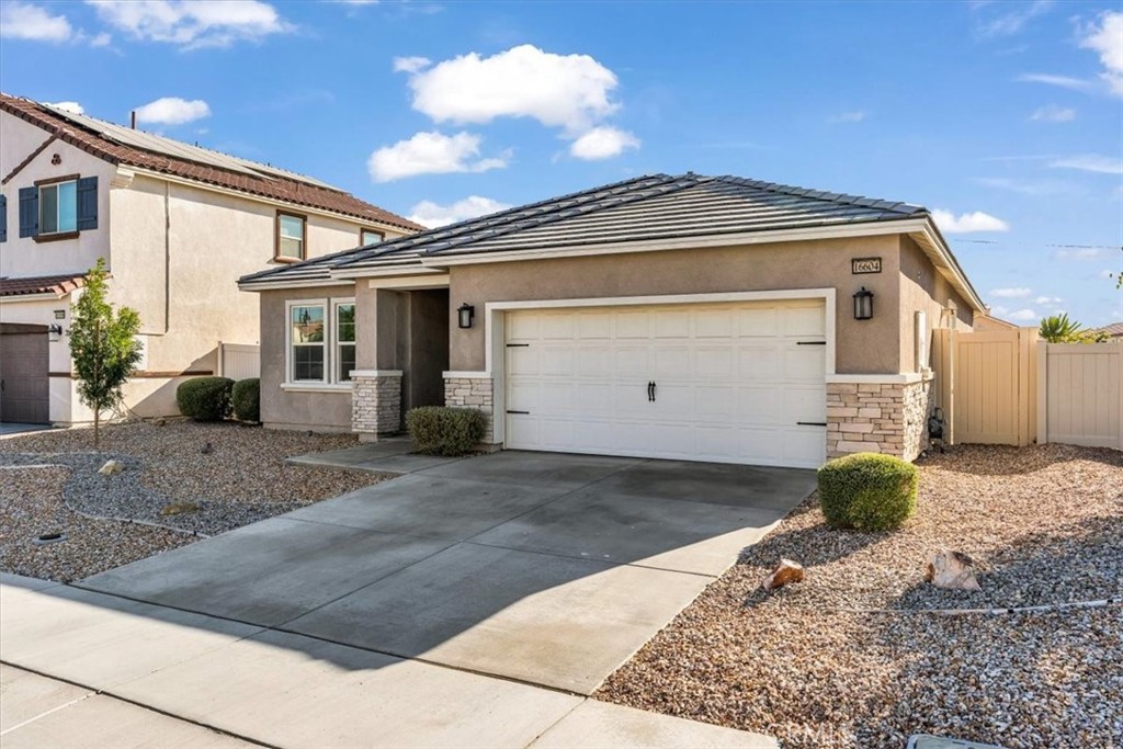 16604 Desert Lily
