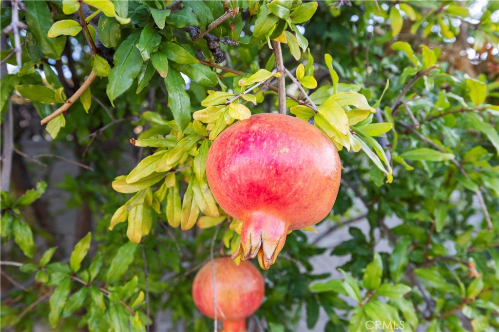 Mountain Shadows (MTSH) - Residential