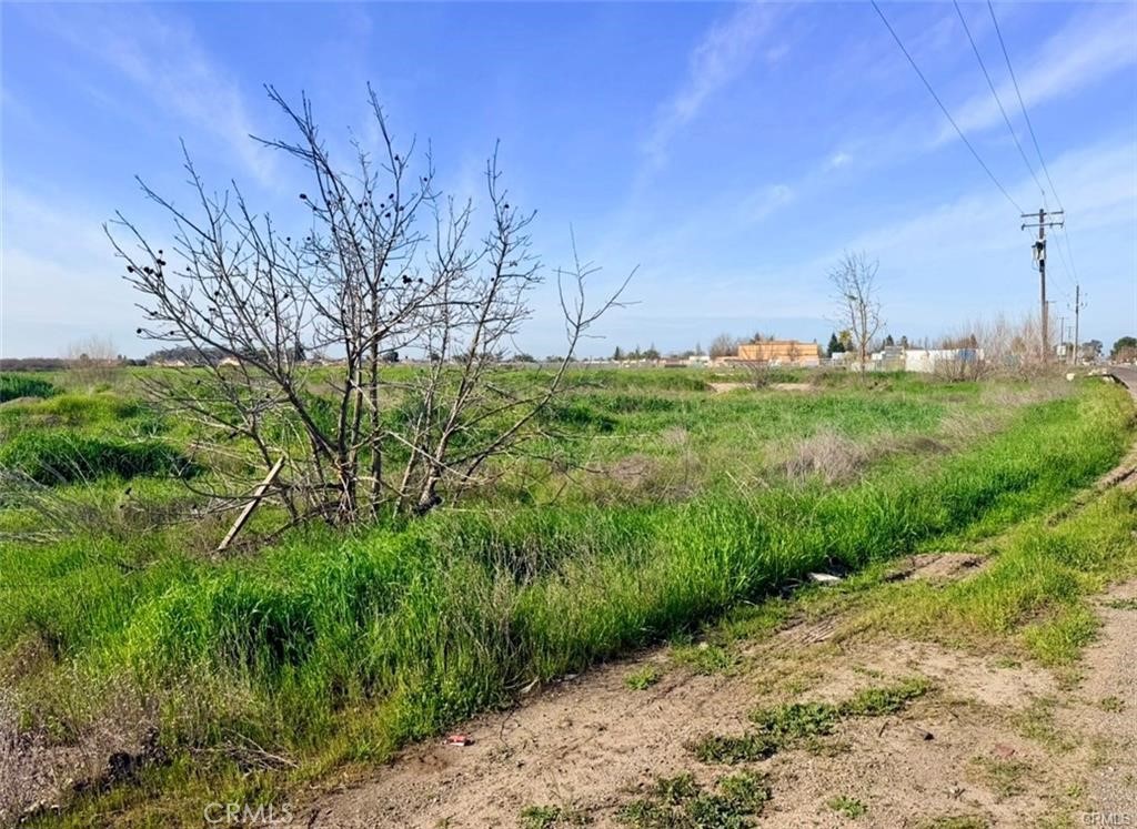 Photo 1 of 1 — 8 Gerard, Le Grand, CA 95333