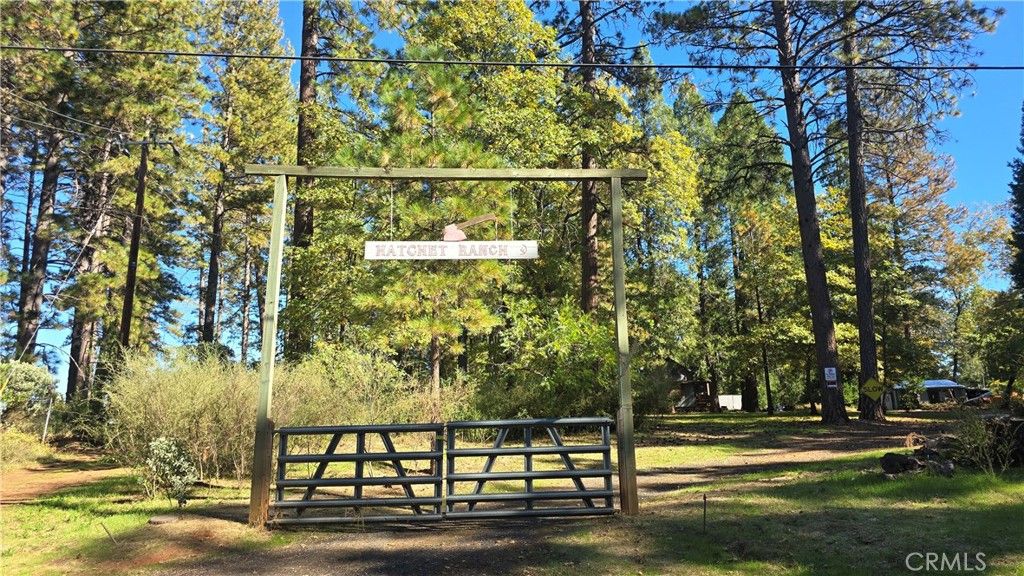 Photo of 13644 Nimshew Rd, Magalia, CA 95954 (MLS # SN25235943)