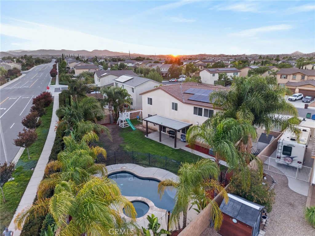 31247 Pinon Pine
