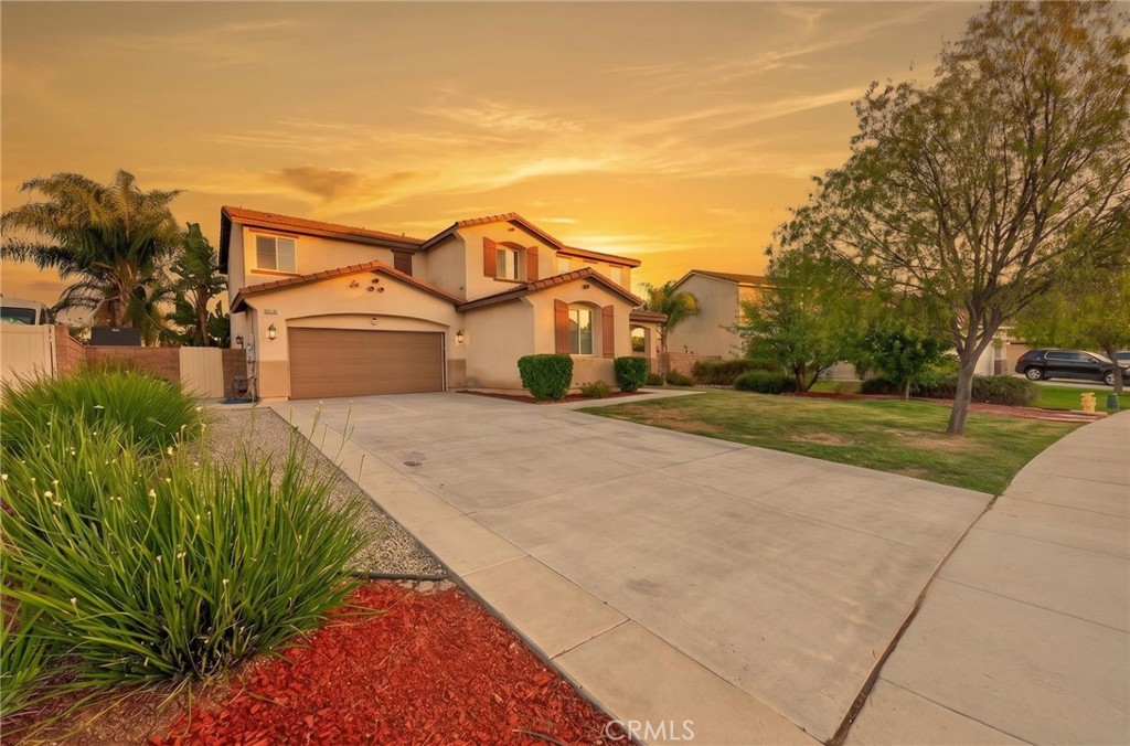 31247 Pinon Pine